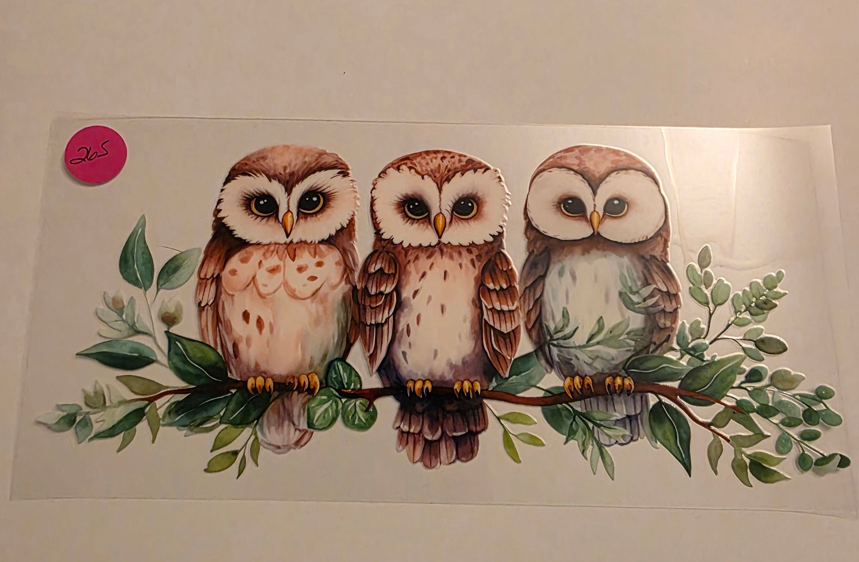 Owls # 265