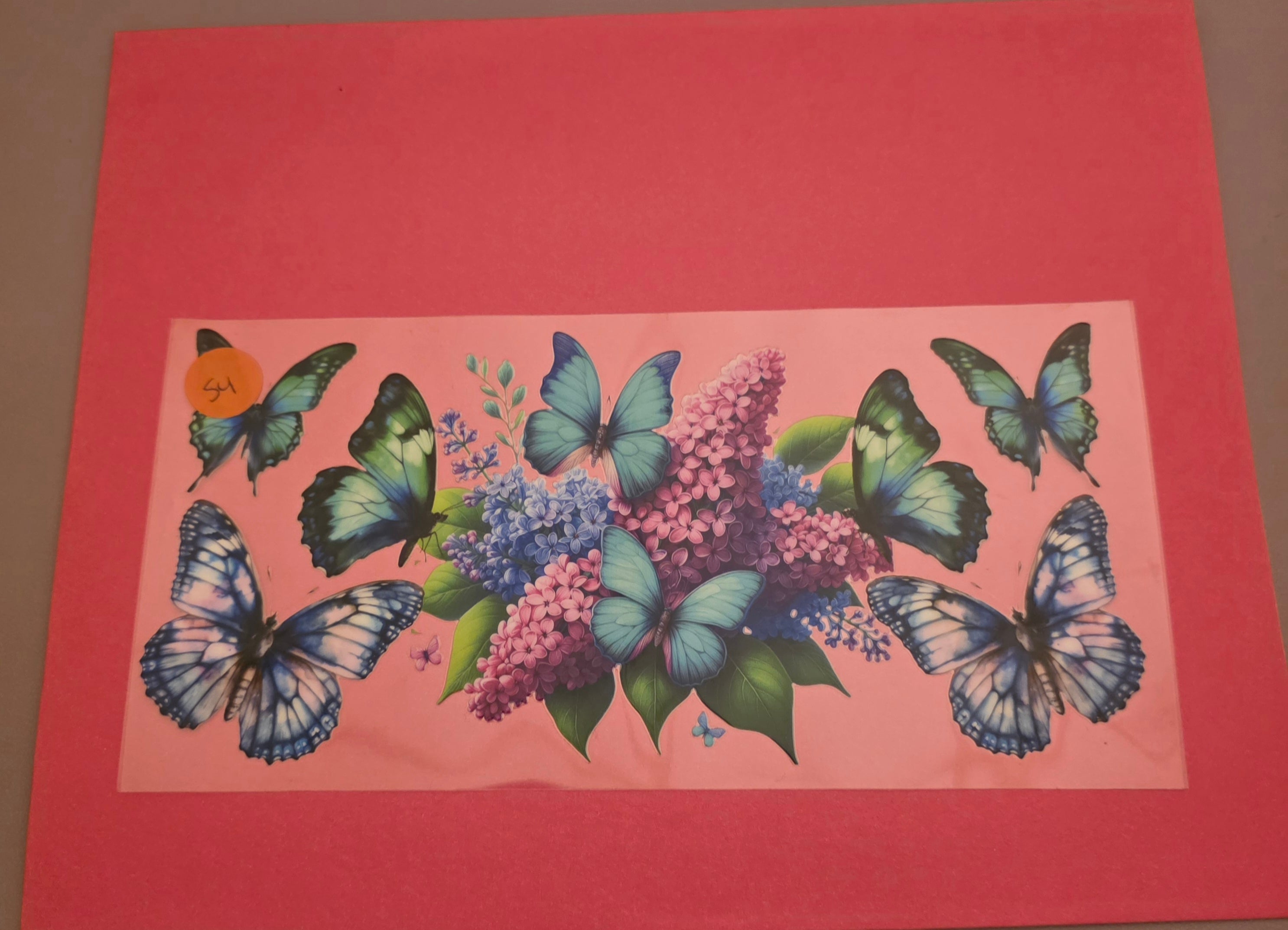 Butterflies