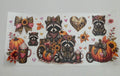 Fall Raccoon 045