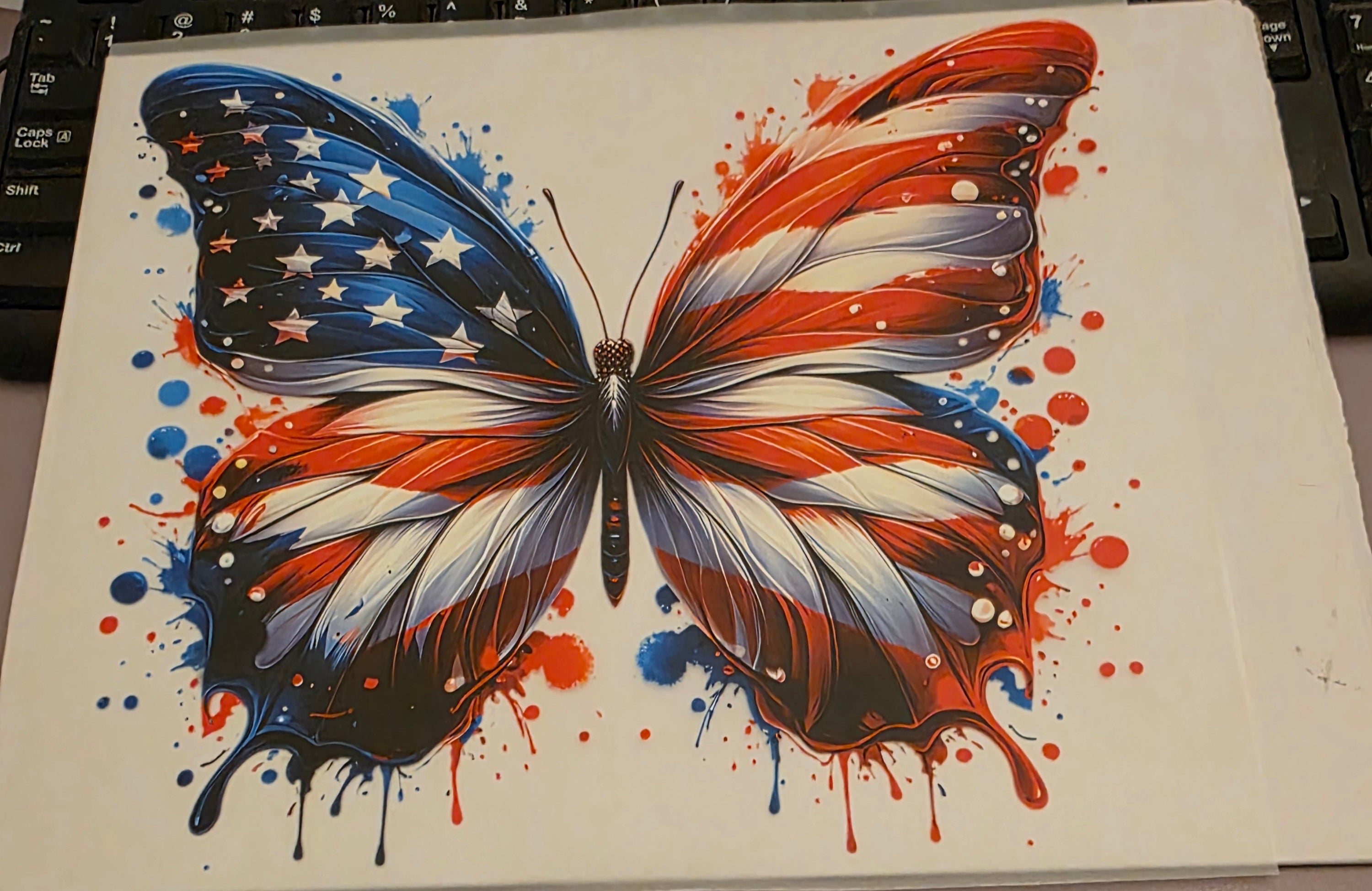 USA BUTTERFLY