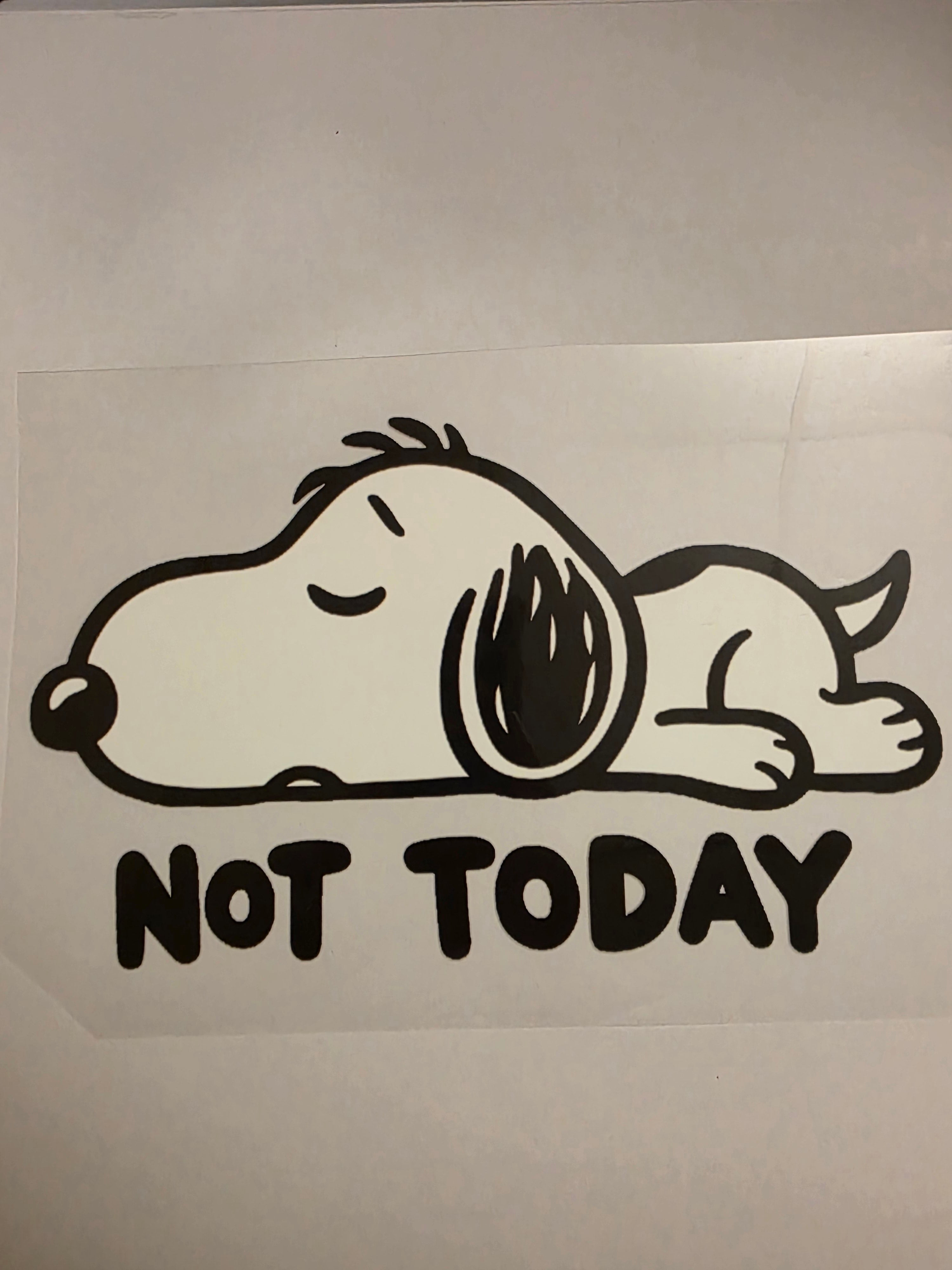 Snoopy Not Today
