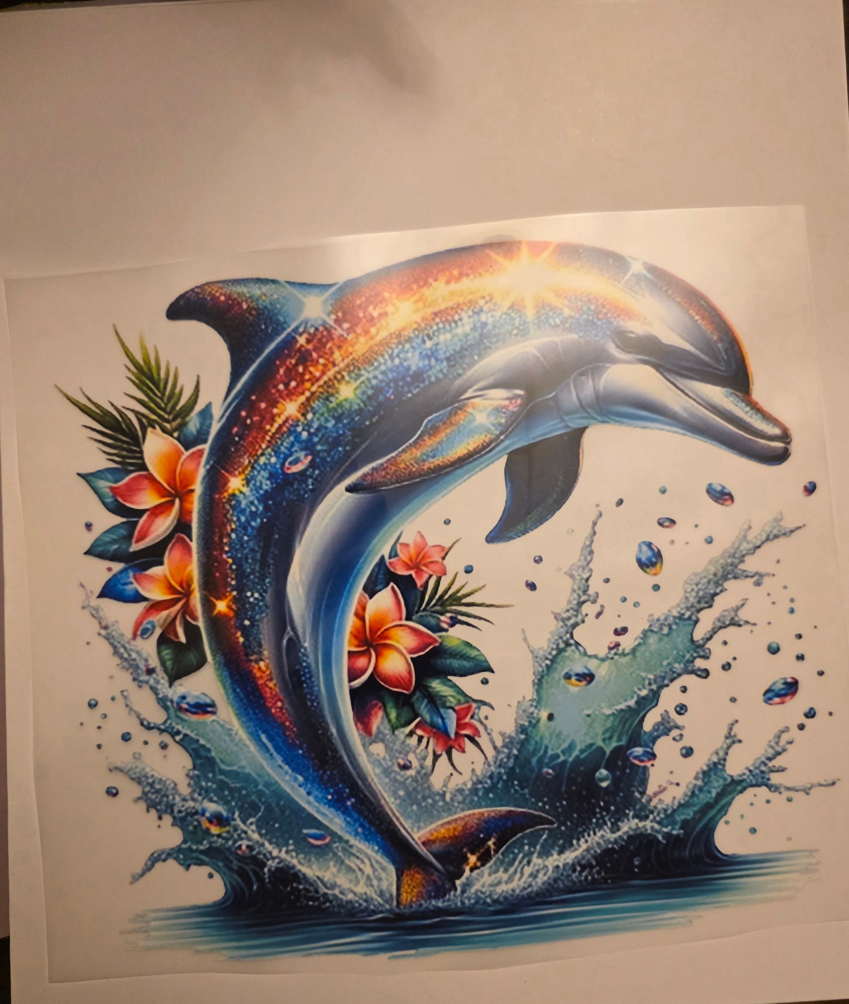 Dolphin