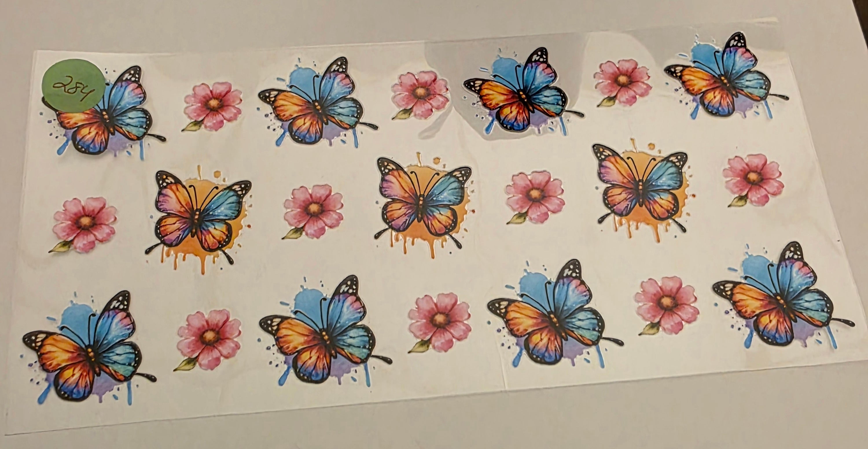 Butterflies #284