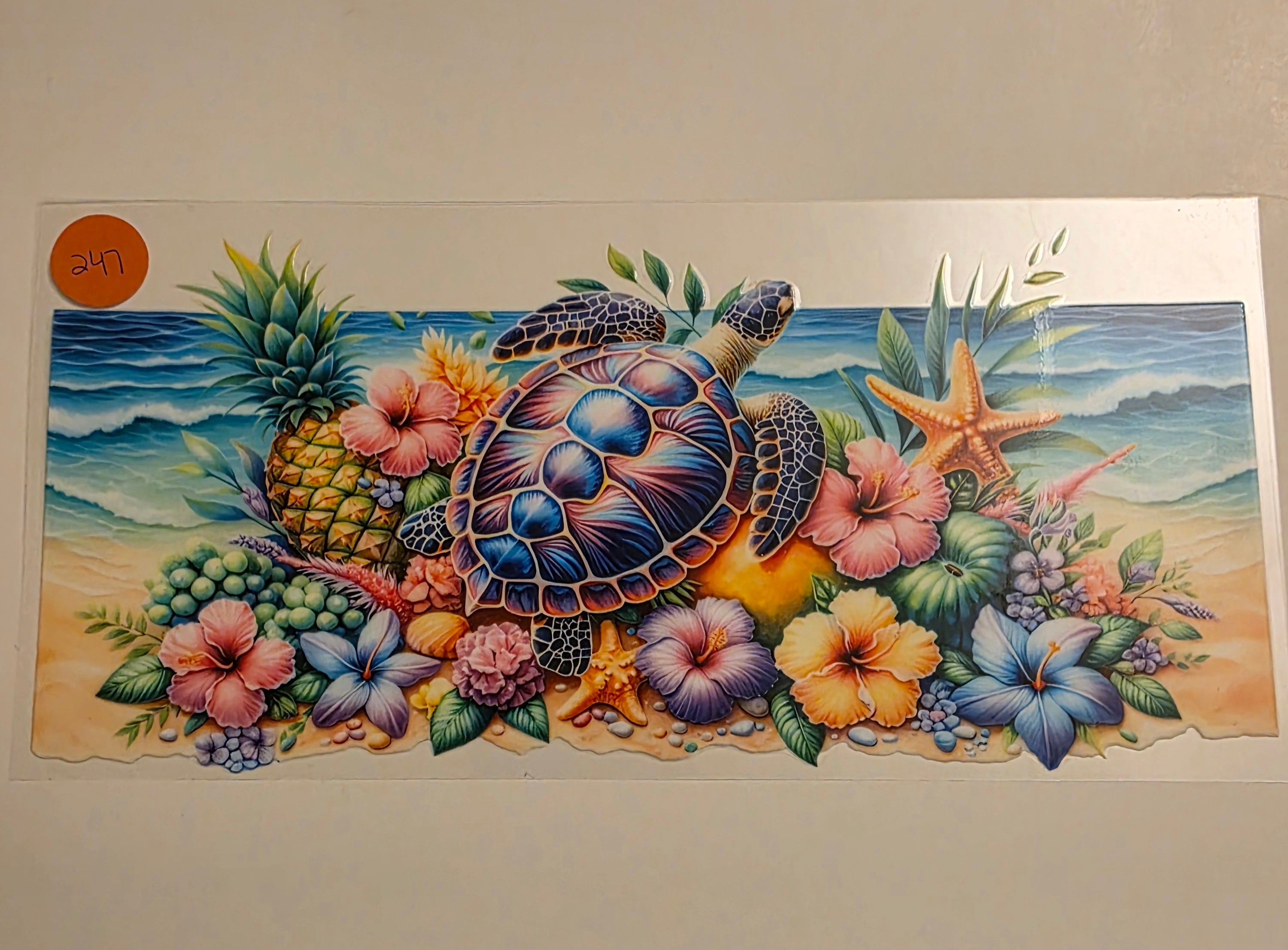 Turtles #247