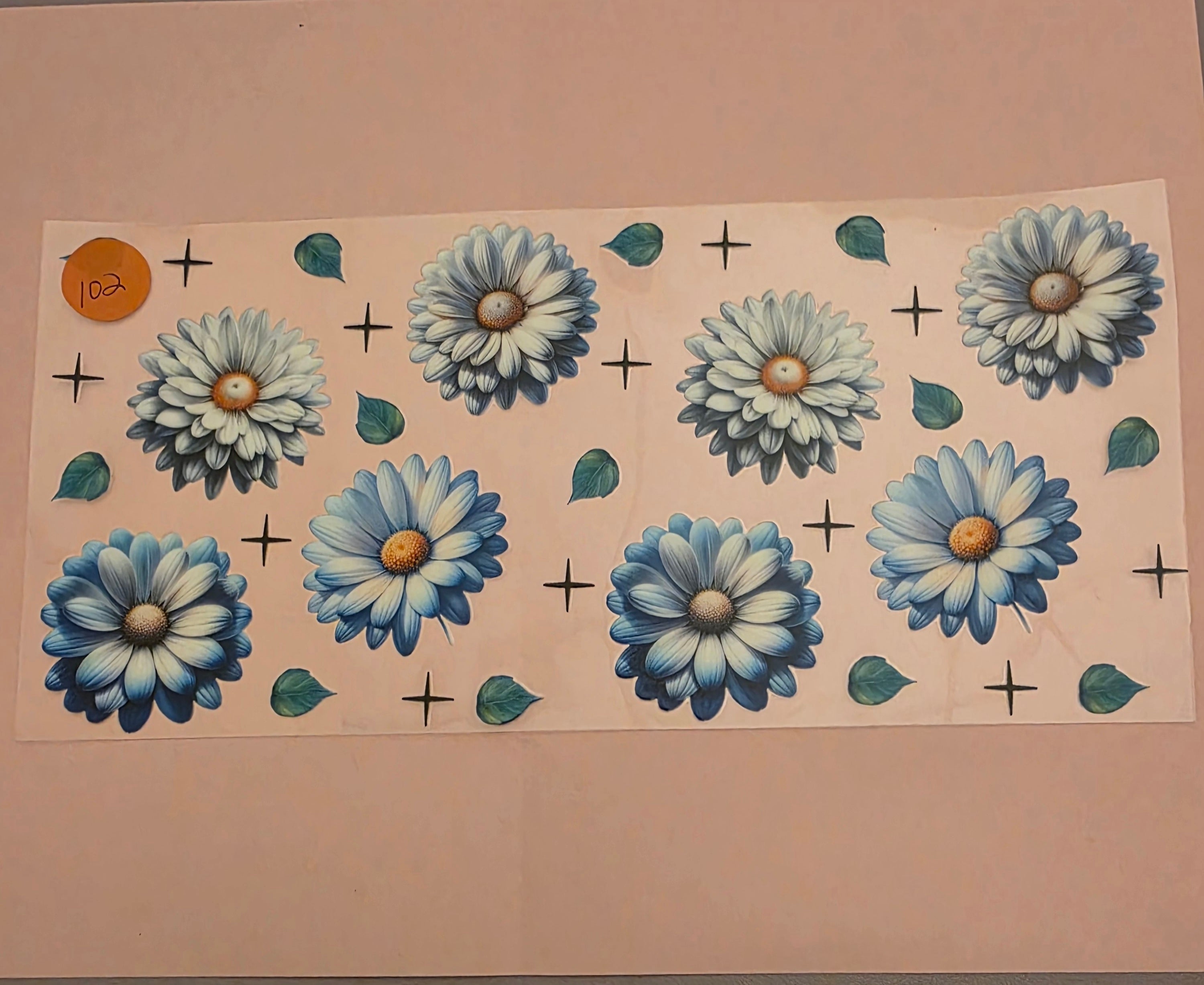 Daisy