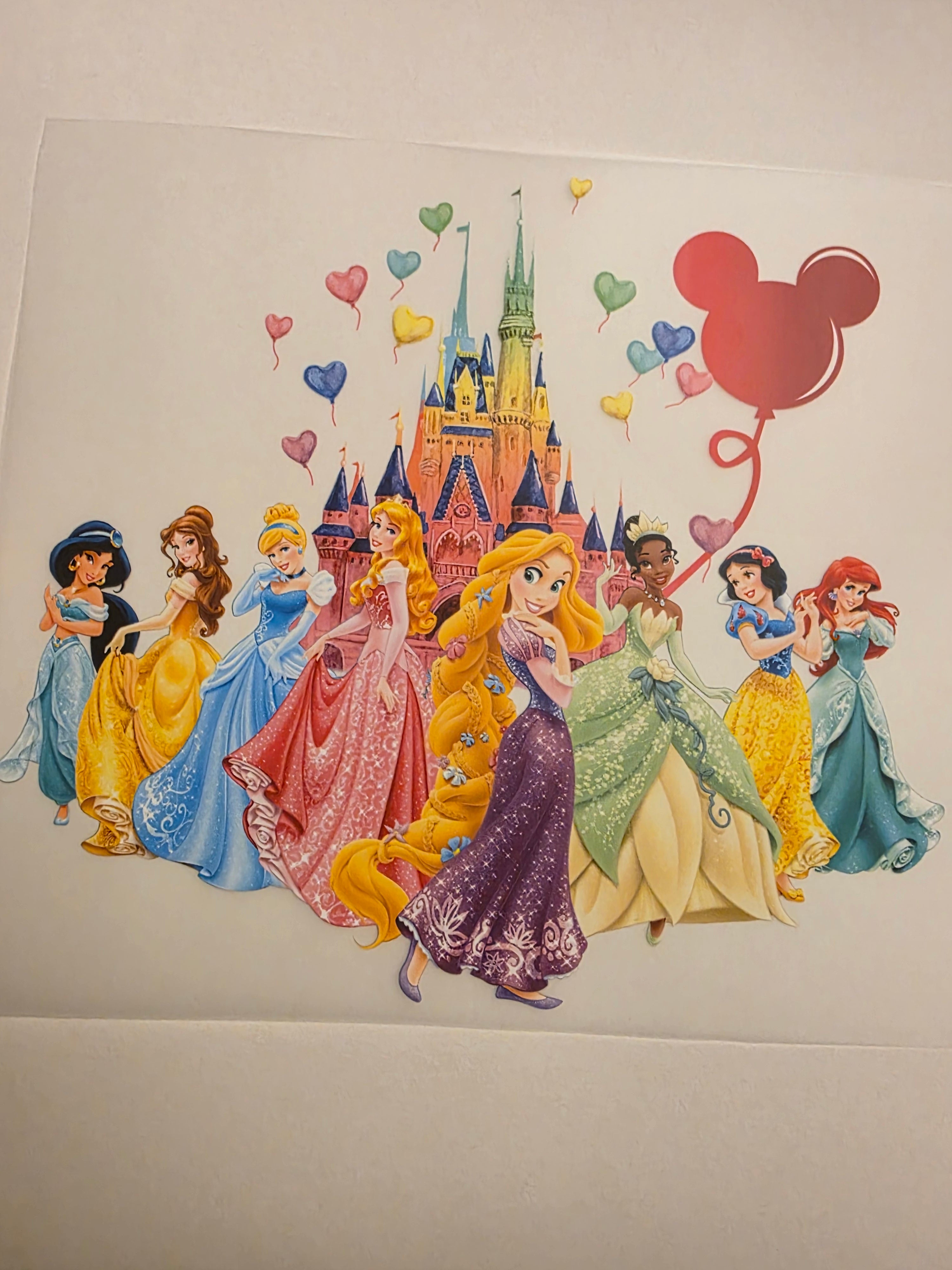 Disney Princesses