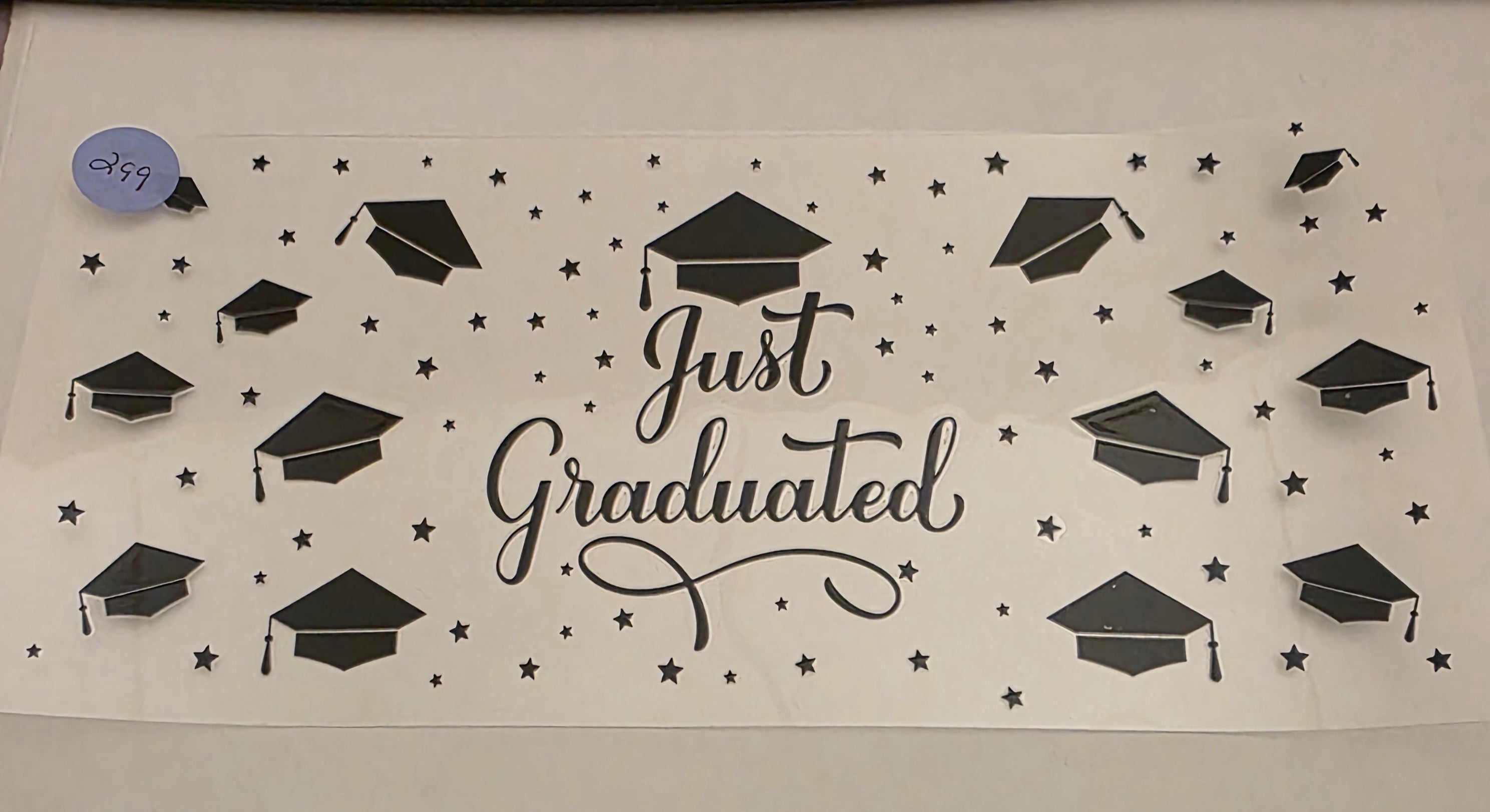 Graduation #299