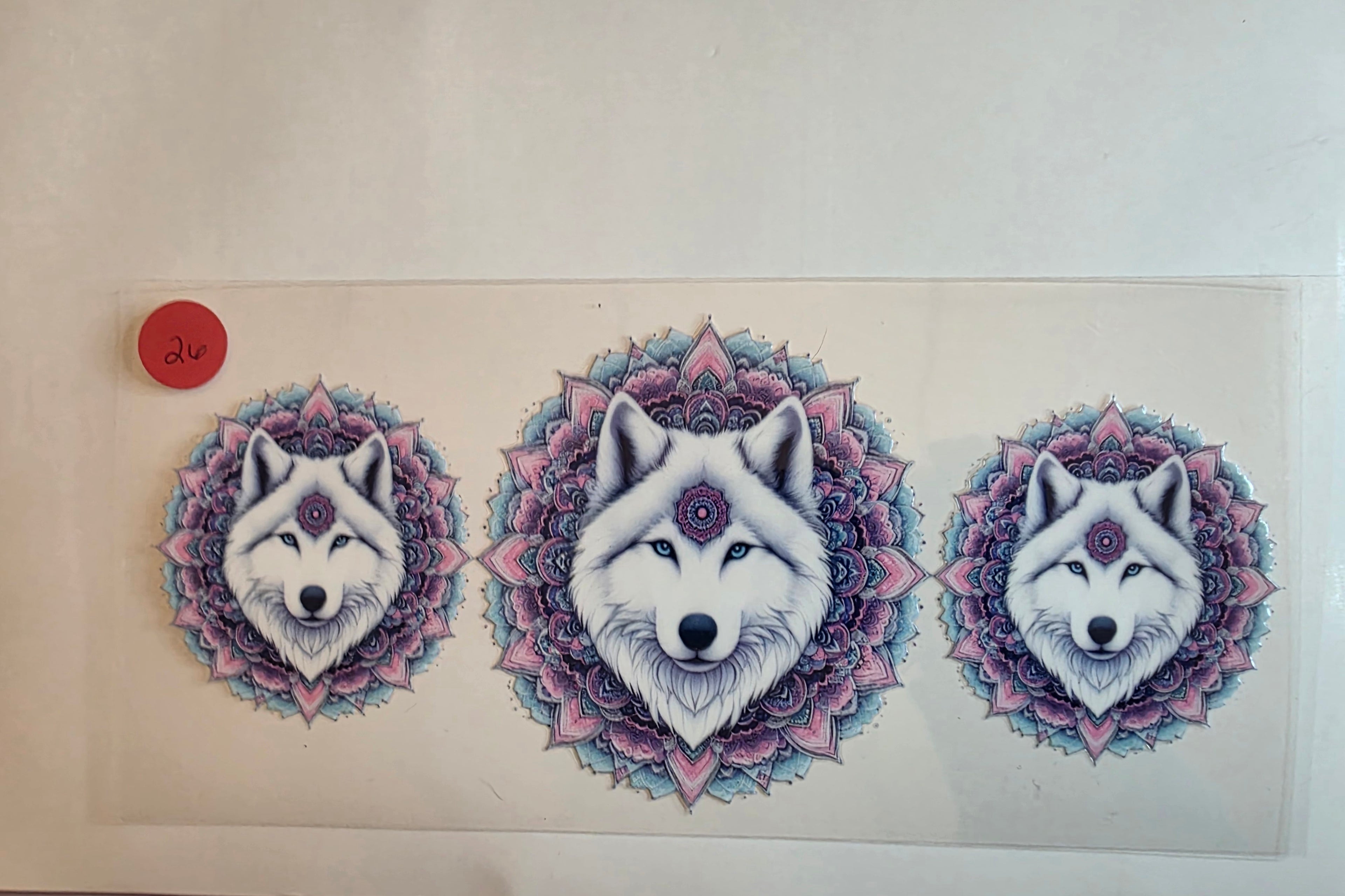 wolves